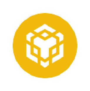 BNB 區(qū)塊鏈項目